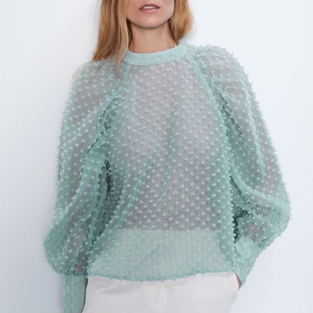 Zara Statement Sleeve Mock Neck Sheer Blouse